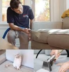 Carpet & Upholstery Cleaning 001